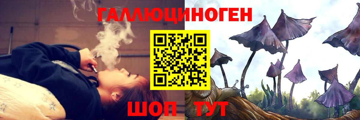 Псилоцибиновые грибы Psilocybe Рассказово